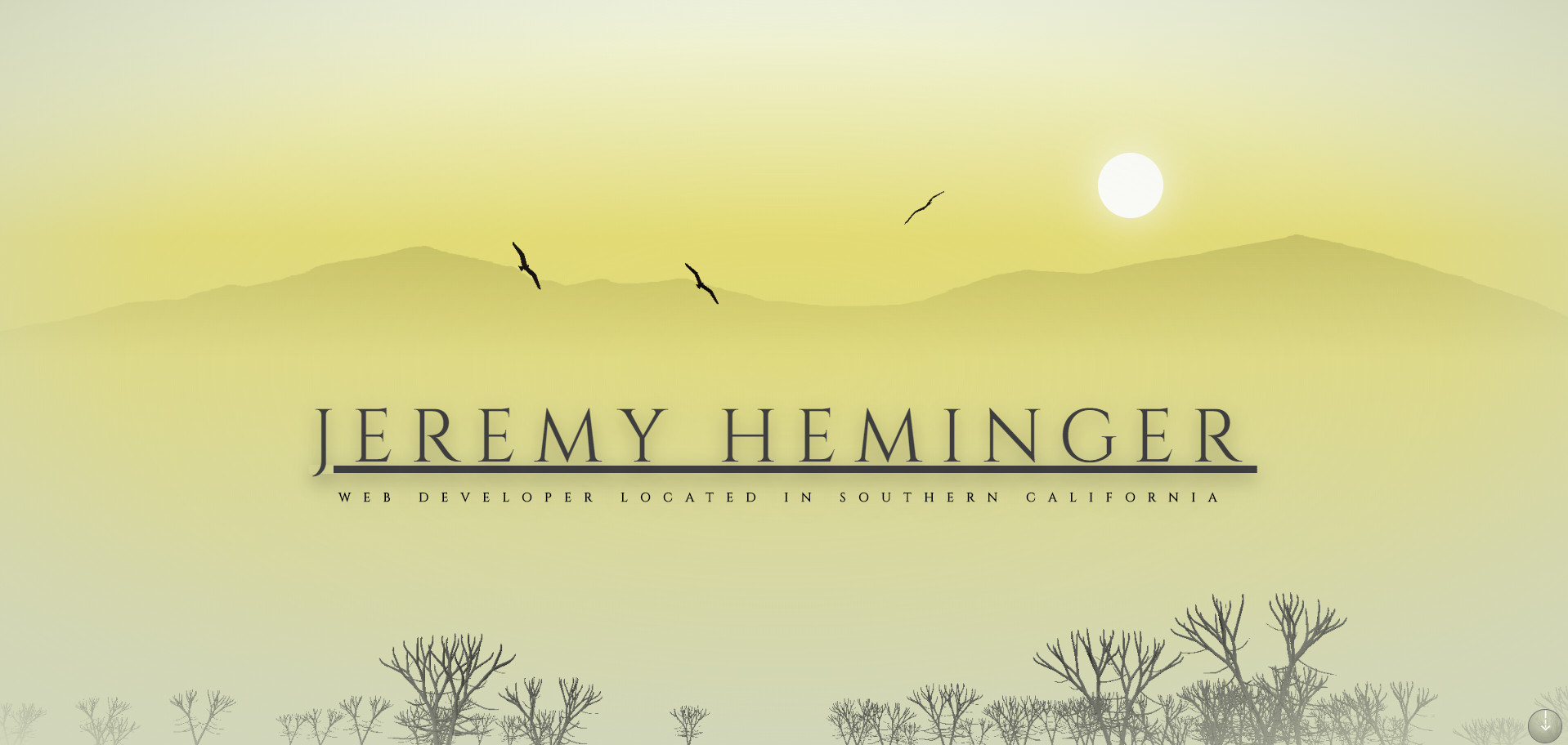 Jeremy Heminger 2020 Landing Page
