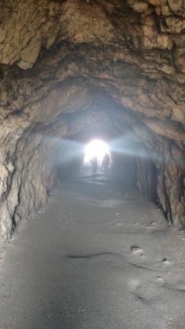 go towards the light